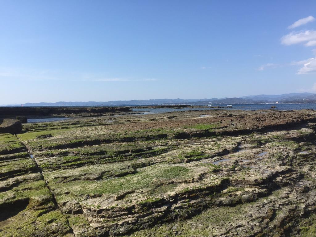 ホテル ダイニングペンション江津良 白浜町 エクステリア 写真